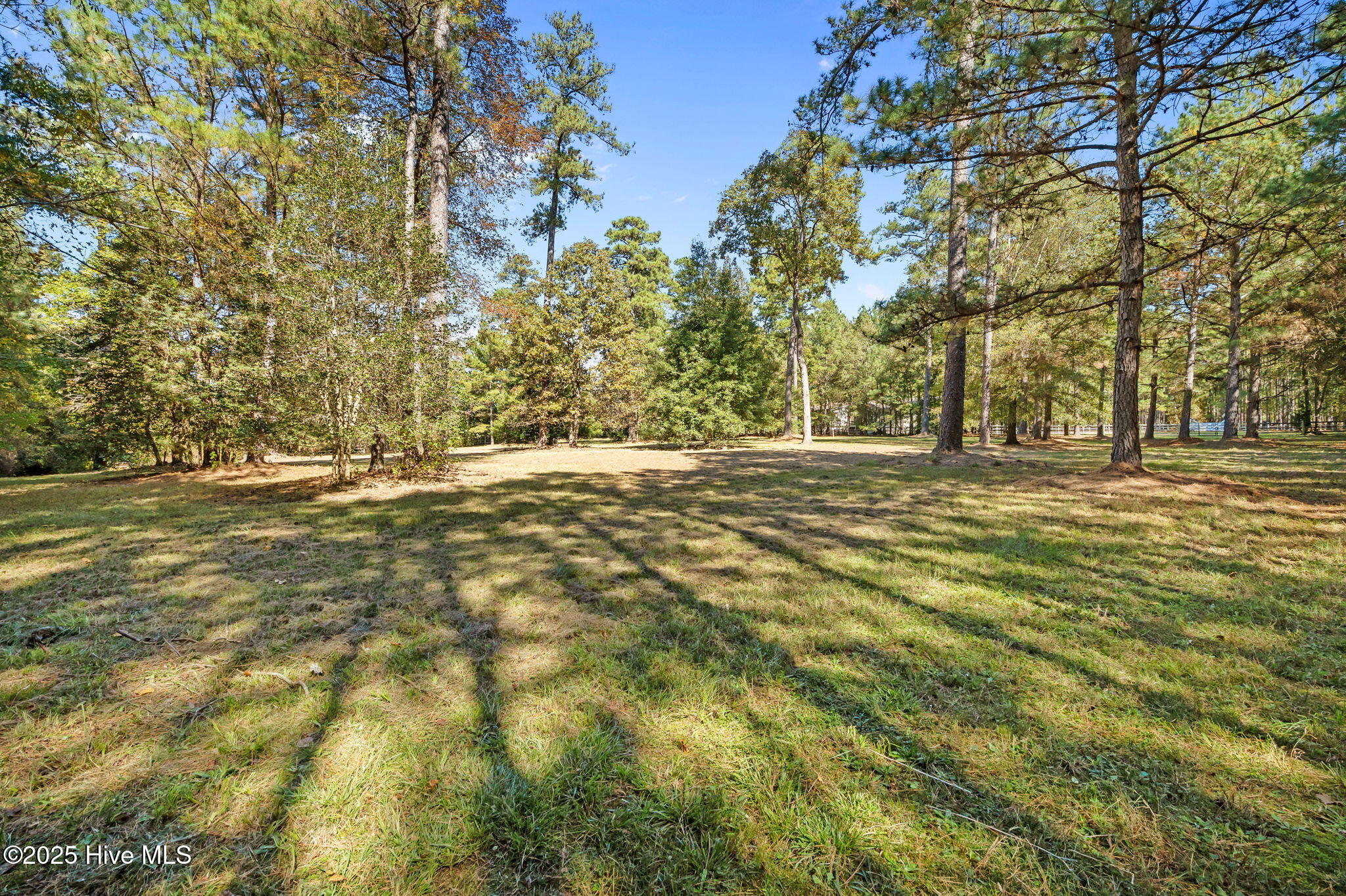 176 Causey Road Vass, NC 28394 - Photo 63 of 66 22-web-or-mls-DSC05893