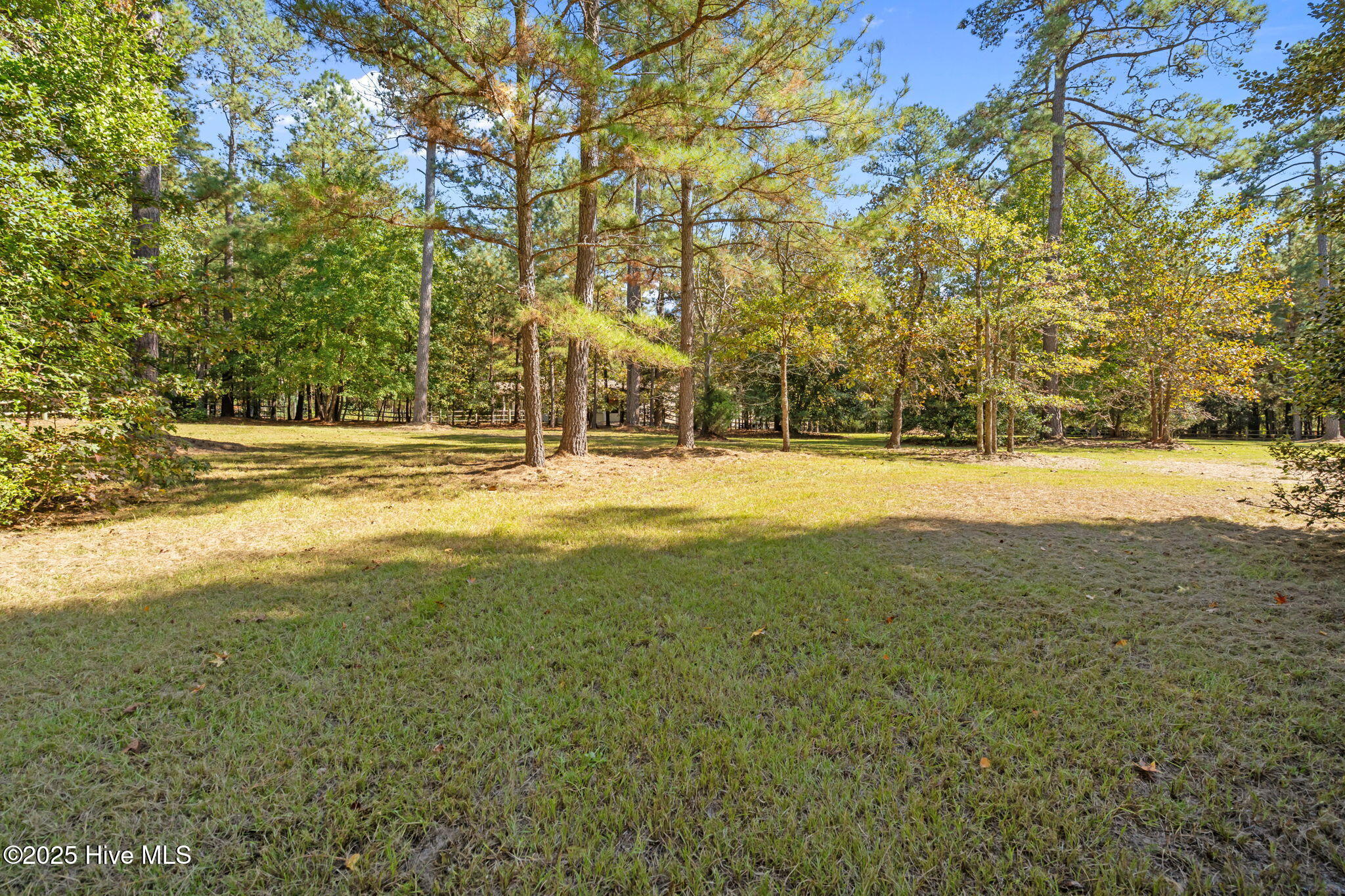 176 Causey Road Vass, NC 28394 - Photo 64 of 66 28-web-or-mls-DSC05900