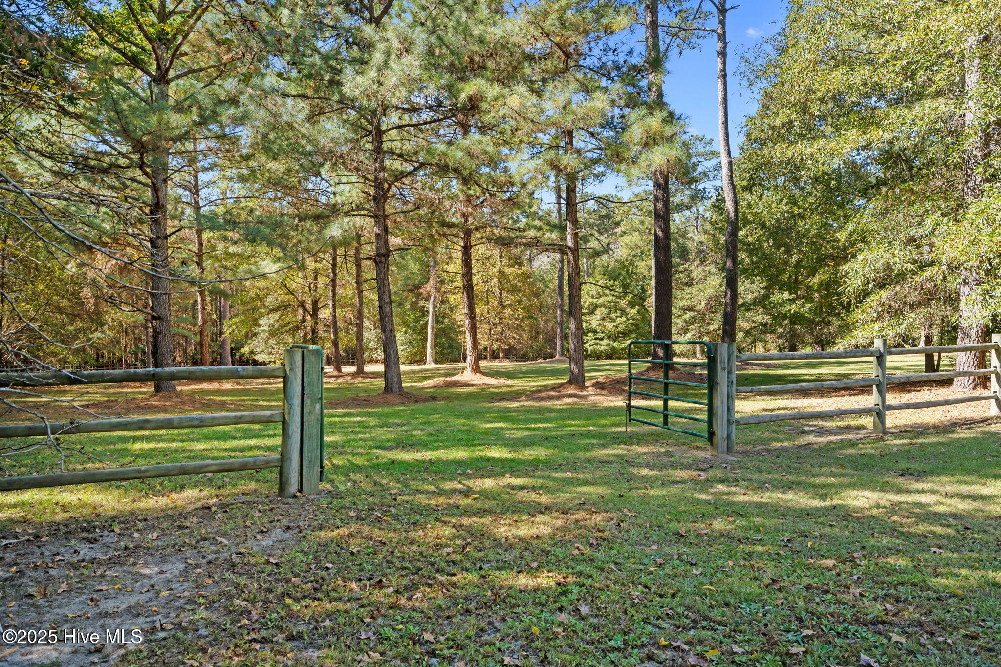 176 Causey Road Vass, NC 28394 - Photo 10 of 66 20-web-or-mls-DSC05891