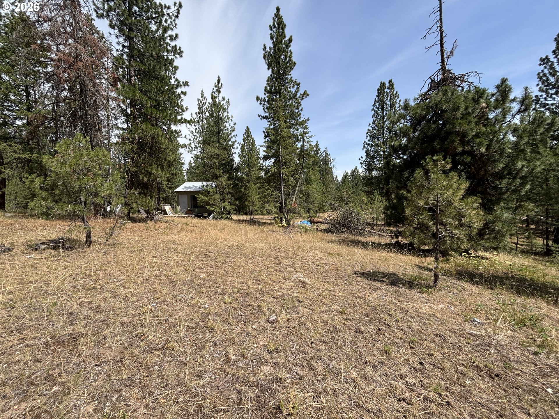 Sparta Road Baker City, OR 97814 - Photo 24 of 26 a view of outdoor space with trees