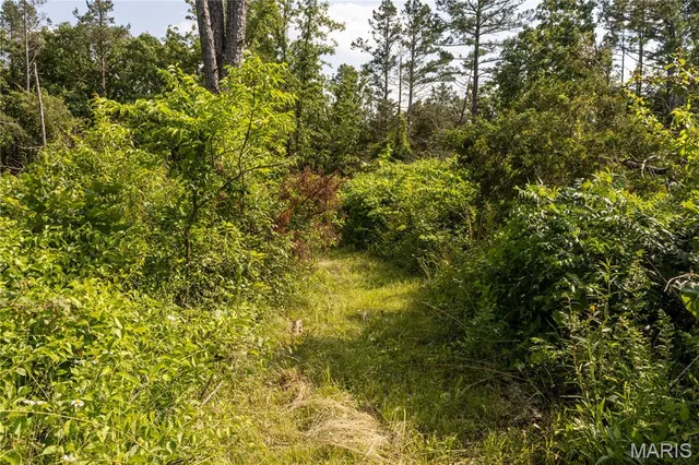 $148,000 | 19777 Harry Road, Licking, MO 65542