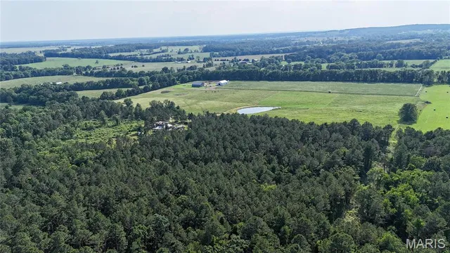 $148,000 | 19777 Harry Road, Licking, MO 65542