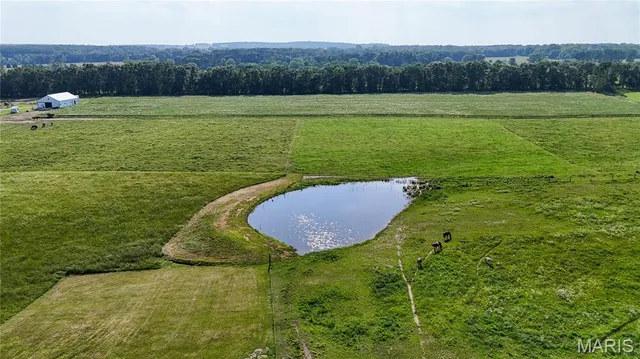 $148,000 | 19777 Harry Road, Licking, MO 65542