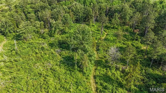 $148,000 | 19777 Harry Road, Licking, MO 65542