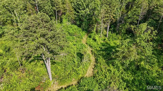 $148,000 | 19777 Harry Road, Licking, MO 65542