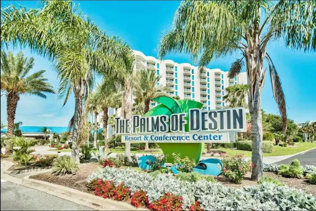 a view of a swimming pool with a garden and plants