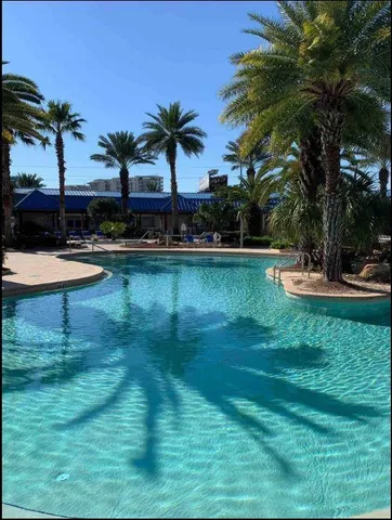 a view of a swimming pool with a garden