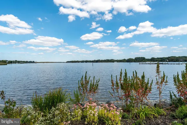 $695,000 | 118 Little Harbor Way, Unit 202, Chestertown, MD 21620