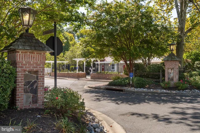 a view of a back yard