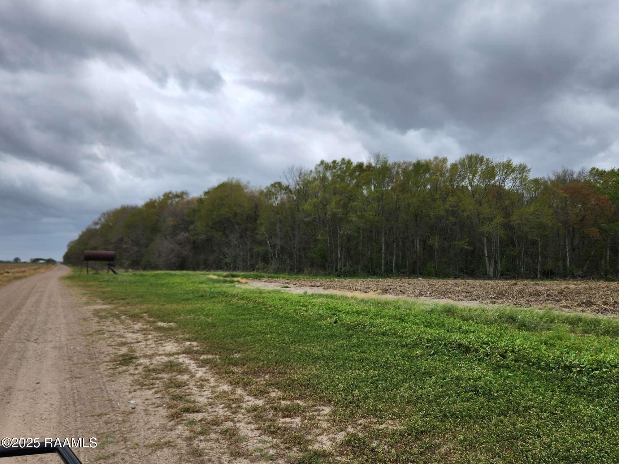 1000 Grand Chemin Road St. Martinville, LA 70582 - Photo 12 of 14 Compress_20250323_091219_9977