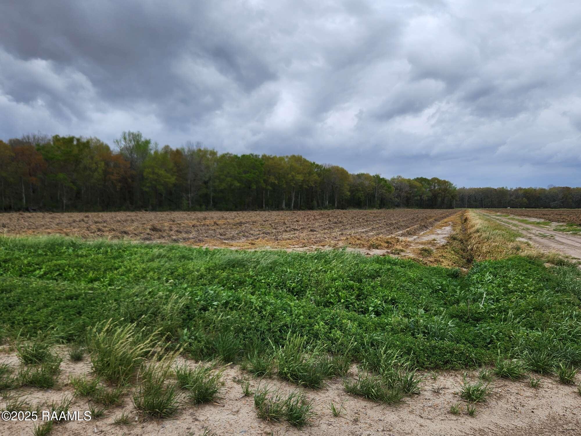 1000 Grand Chemin Road St. Martinville, LA 70582 - Photo 13 of 14 Compress_20250323_091220_0179