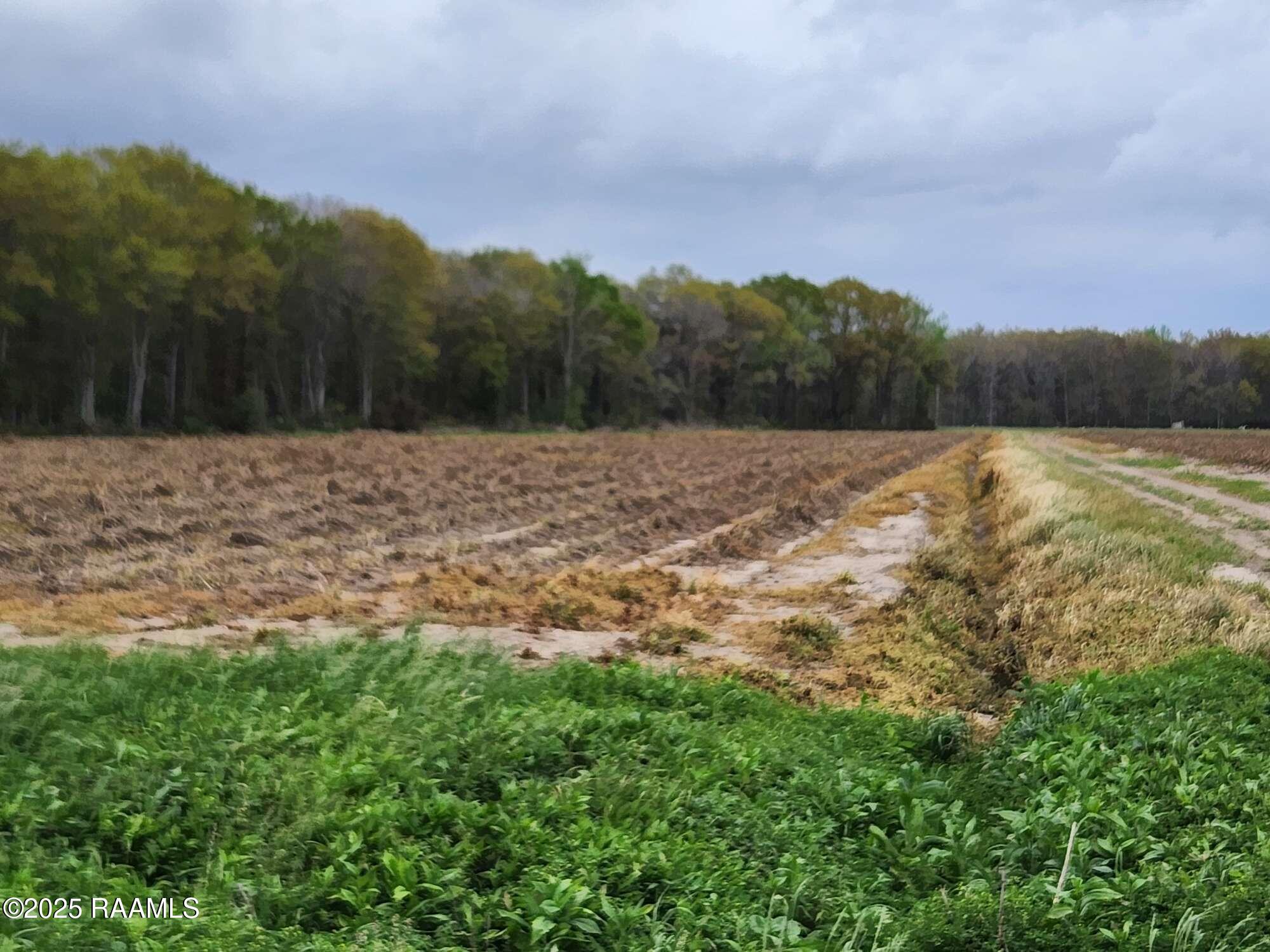 1000 Grand Chemin Road St. Martinville, LA 70582 - Photo 14 of 14 Compress_20250323_091220_0322