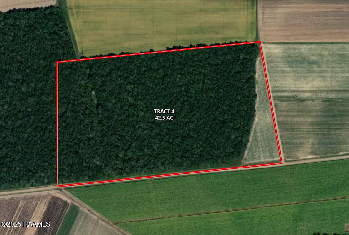 1000 Grand Chemin Road St. Martinville, LA 70582 - Photo 2 of 14 Aerial1