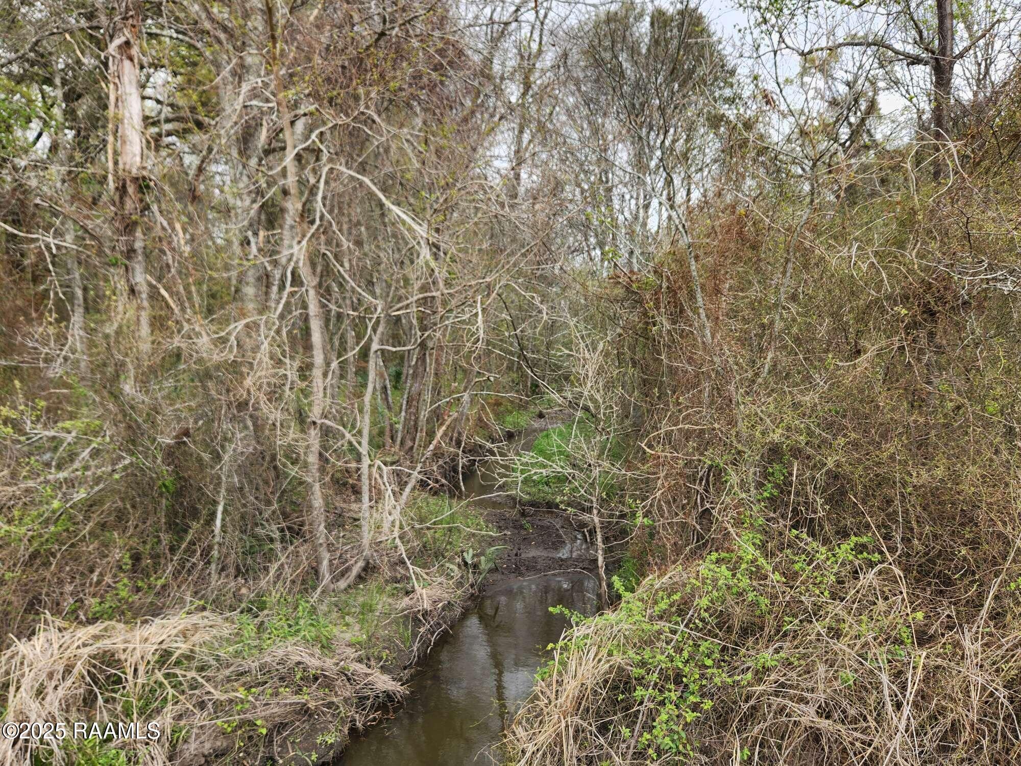 1000 Grand Chemin Road St. Martinville, LA 70582 - Photo 3 of 14 Compress_20250323_091218_8054