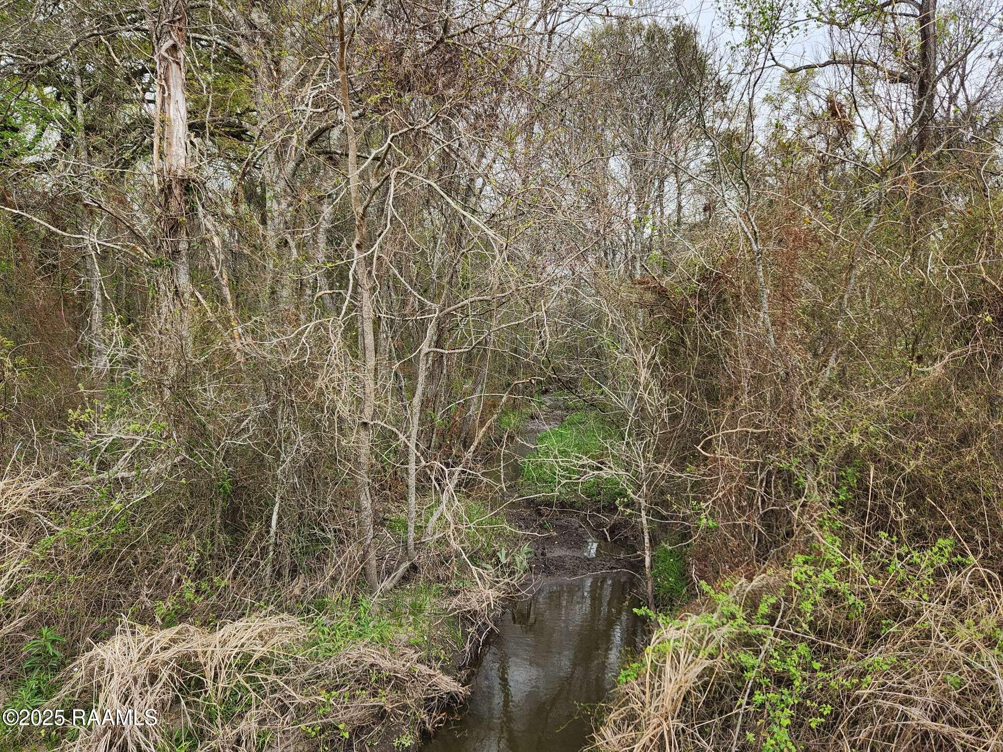 1000 Grand Chemin Road St. Martinville, LA 70582 - Photo 4 of 14 Compress_20250323_091218_8329