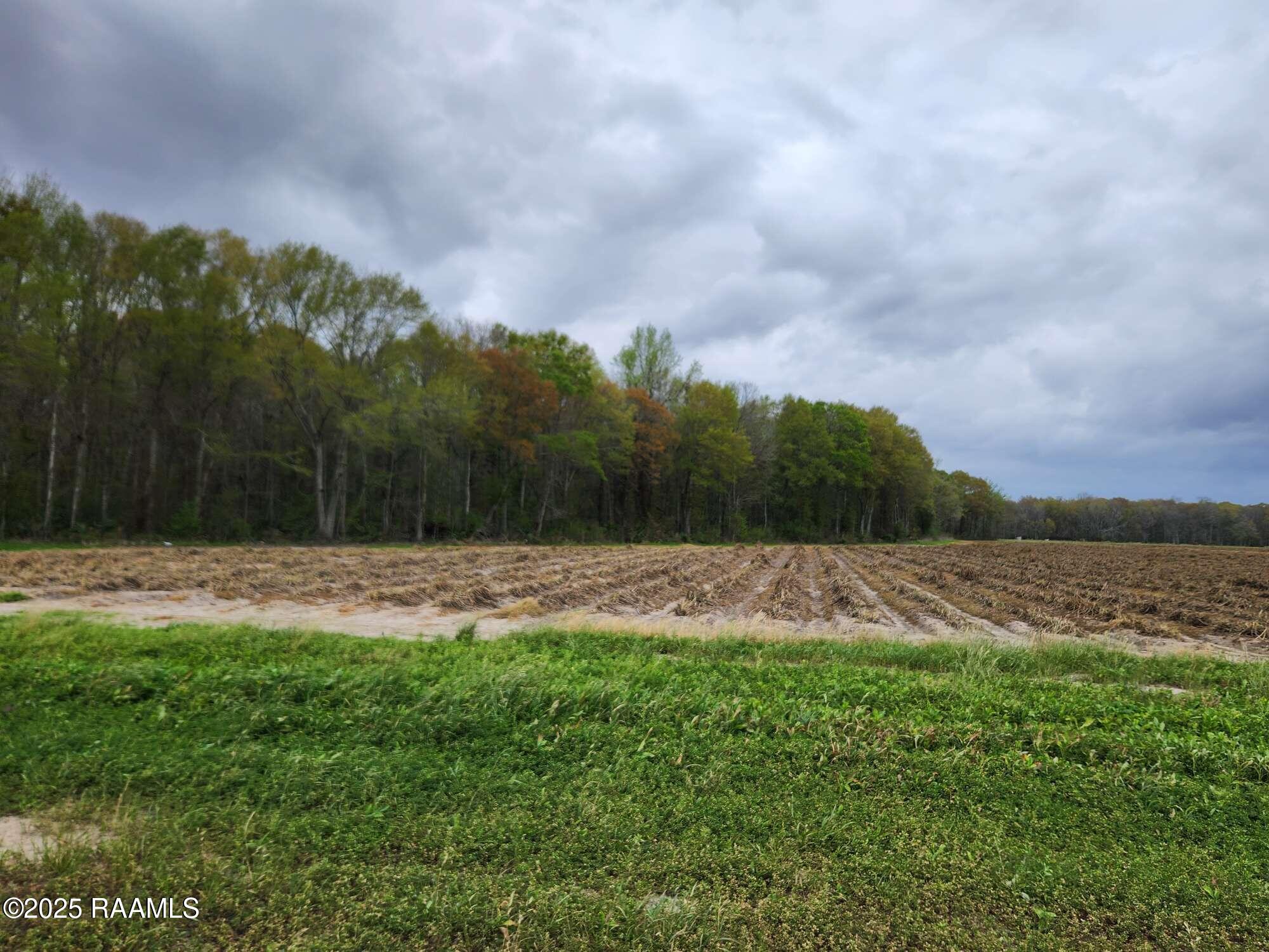 1000 Grand Chemin Road St. Martinville, LA 70582 - Photo 8 of 14 Compress_20250323_091219_9227