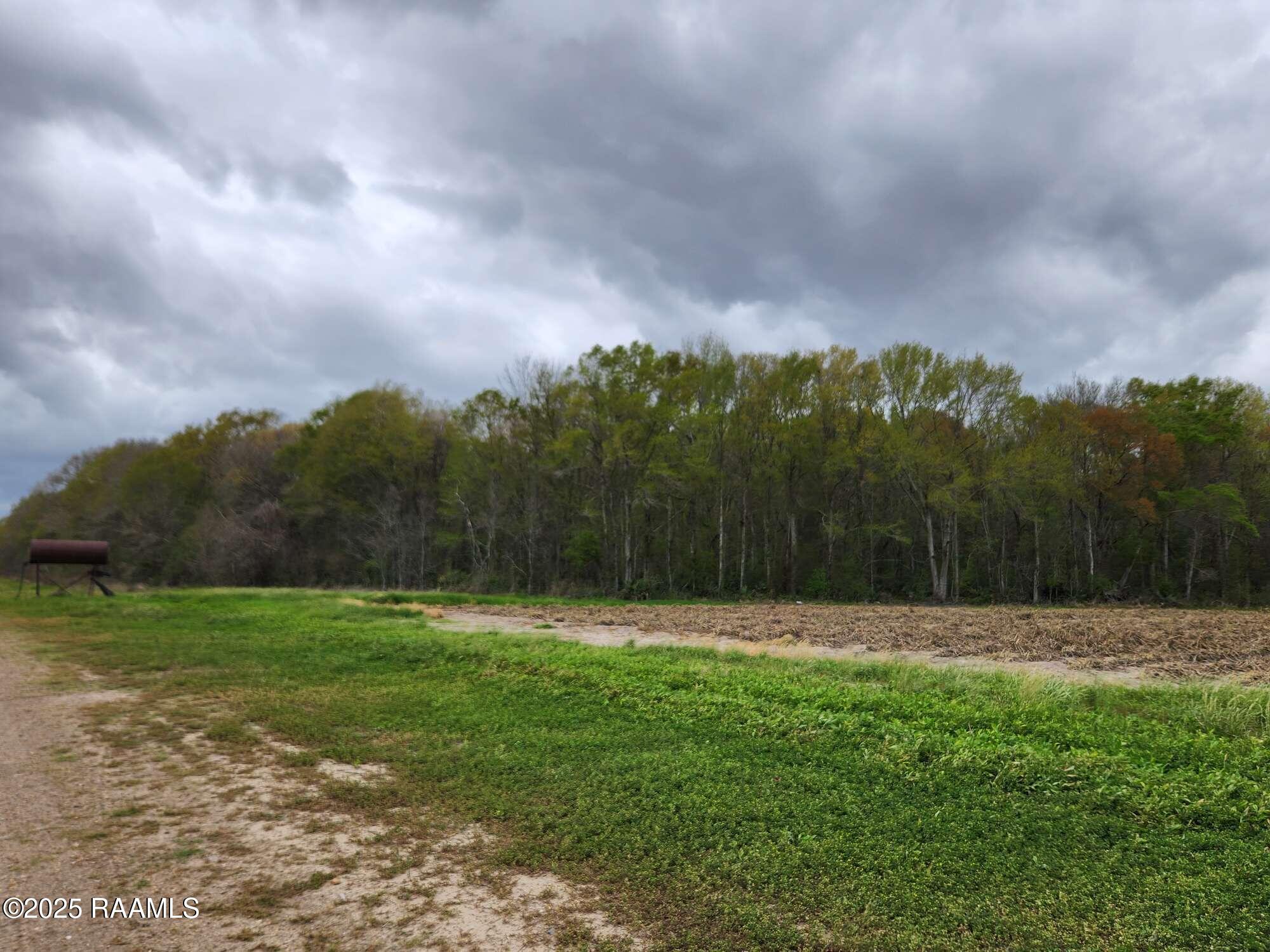 1000 Grand Chemin Road St. Martinville, LA 70582 - Photo 9 of 14 Compress_20250323_091219_9397