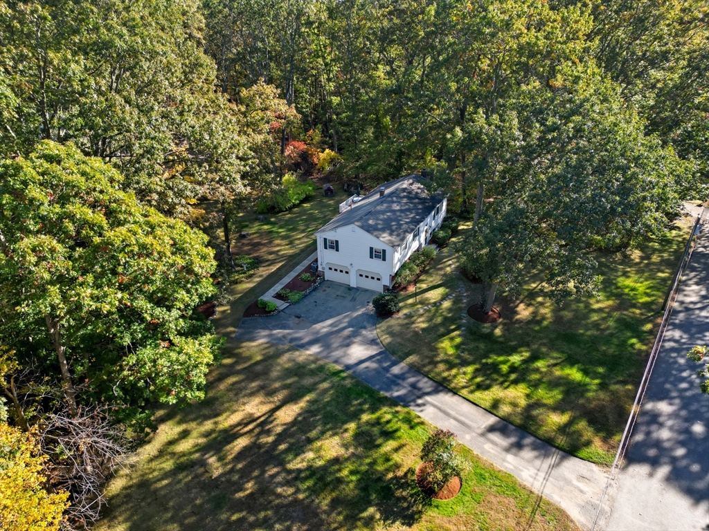 2 Glenwood Road Andover, MA 01810 - Photo 37 of 42 a picture of tree