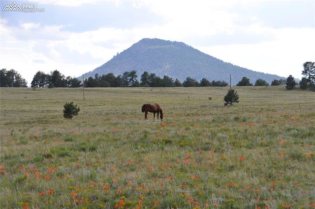 1645 Doe Valley Road Guffey, CO 80820 - Photo 23 of 23 Gallery Image 23