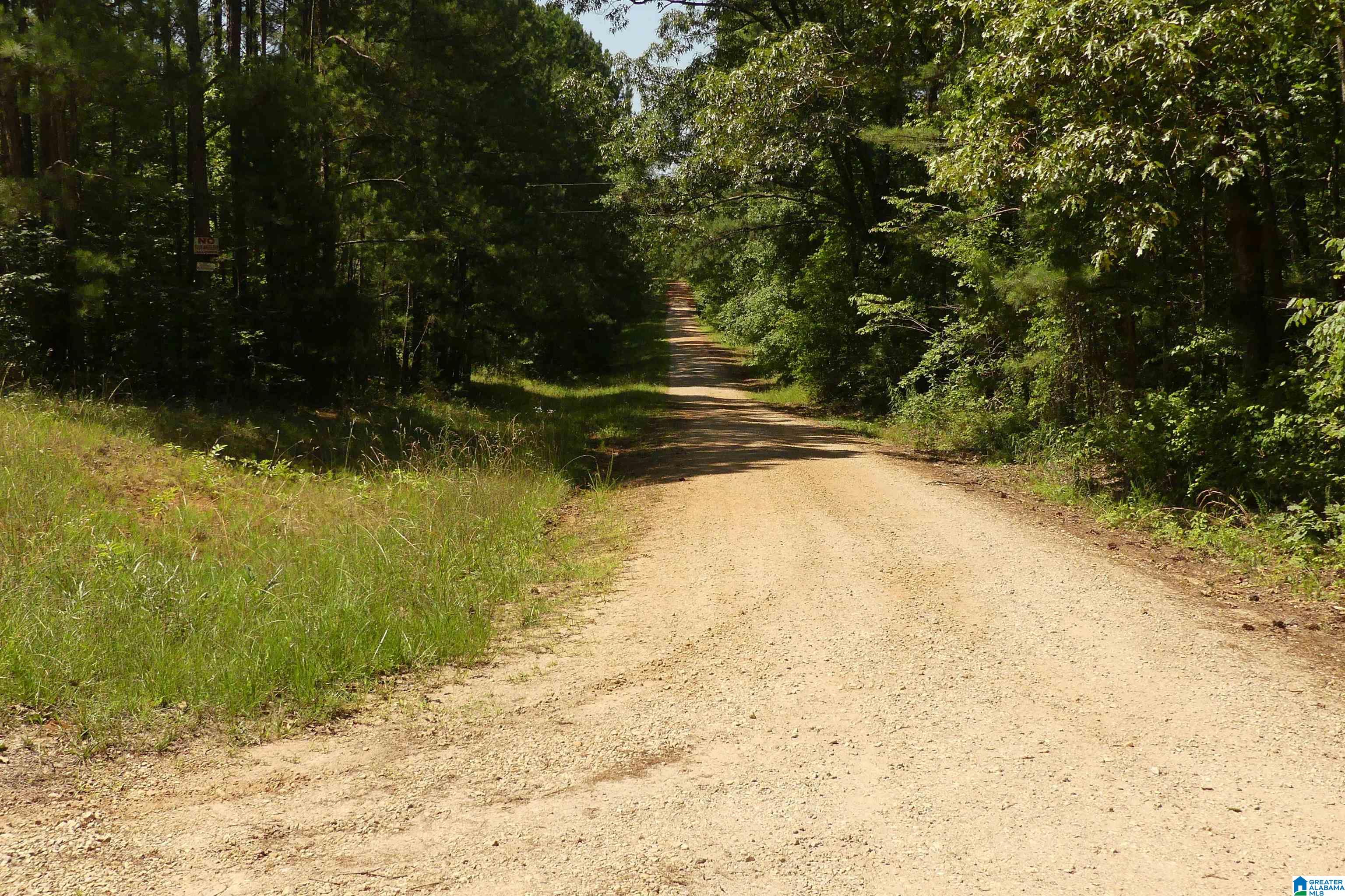 5.39-acres Warren Road Wedowee, AL 36278 - Photo 7 of 9