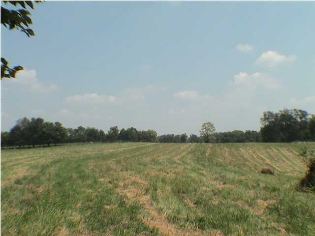 3 Buzzard Roost Road Waddy, KY 40076 - Photo 1 of 1 Primary Photo