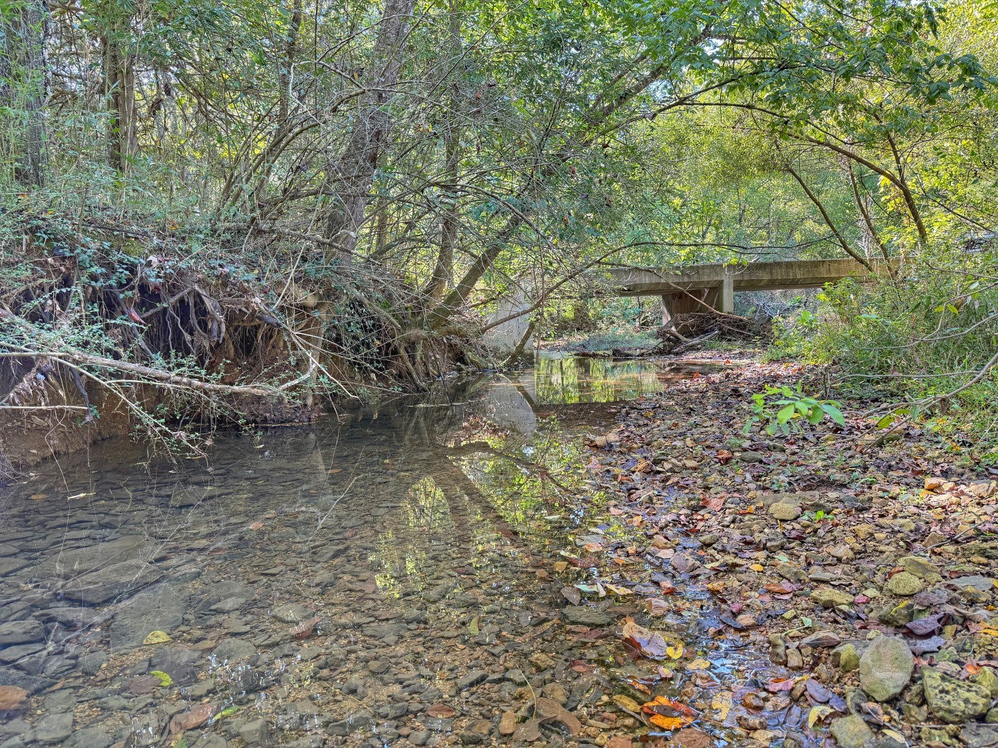 1381 Turkey Creek Road Dickson, TN 37055 - Photo 27 of 35