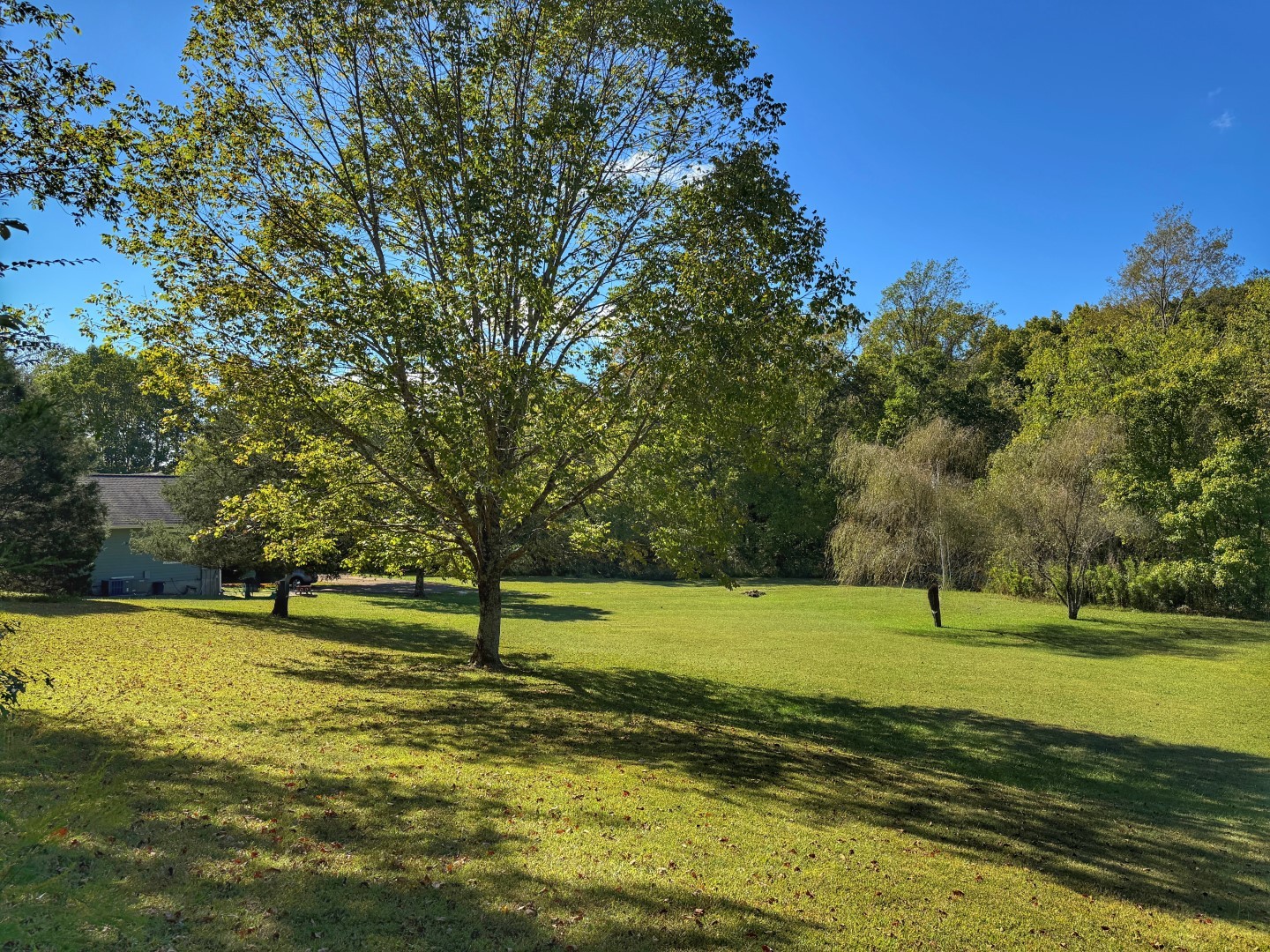 1381 Turkey Creek Road Dickson, TN 37055 - Photo 28 of 35 a view of a golf course