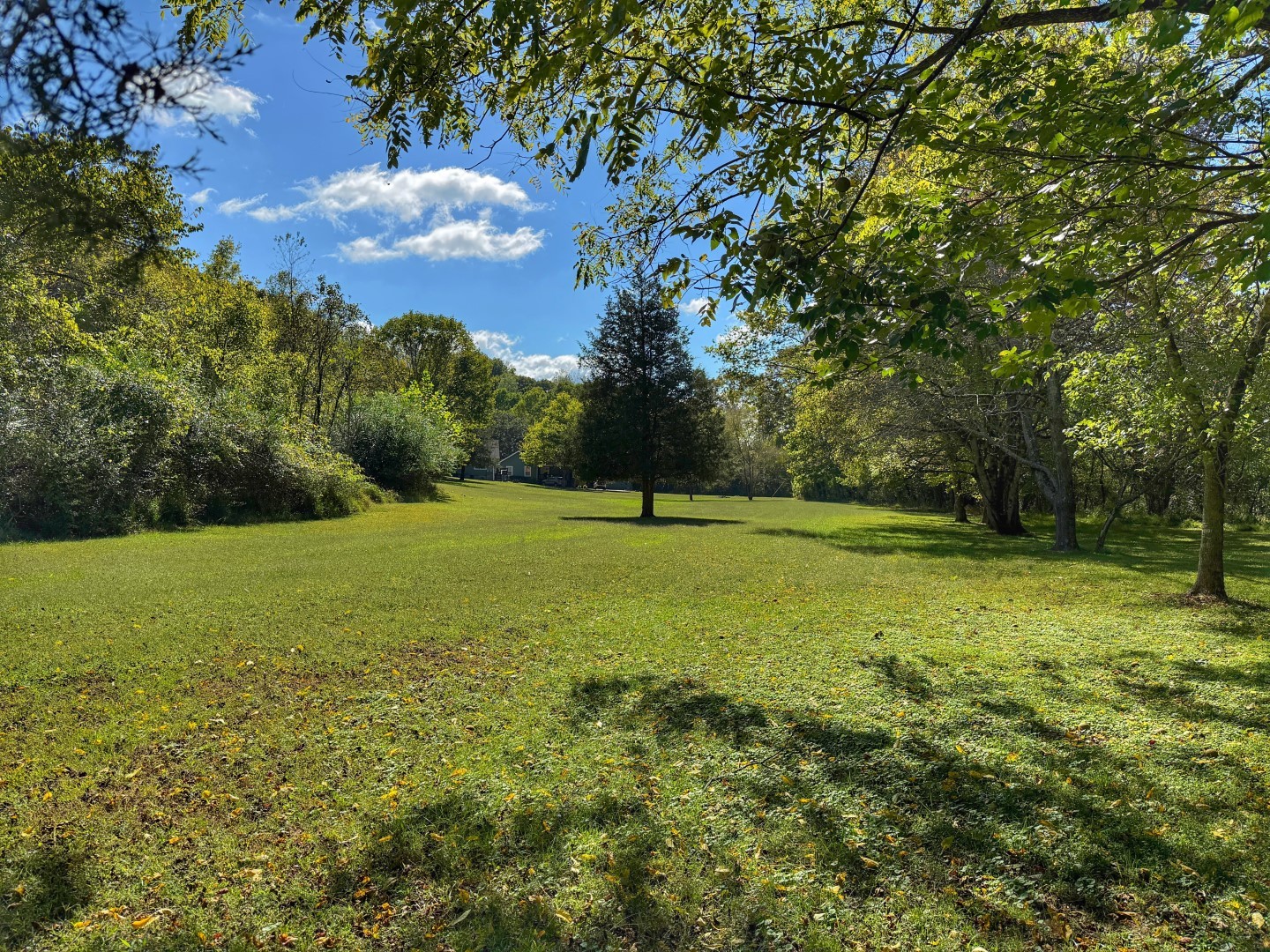 1381 Turkey Creek Road Dickson, TN 37055 - Photo 30 of 35 a view of outdoor space with green field and trees all around