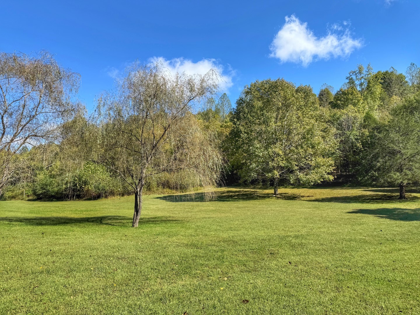 1381 Turkey Creek Road Dickson, TN 37055 - Photo 4 of 35 a view of a golf course with a lake