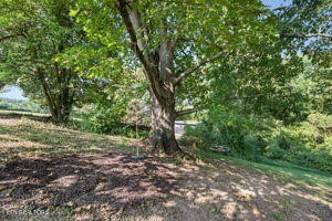 231 Cumberland View Road Clinton, TN 37716 - Photo 44 of 59