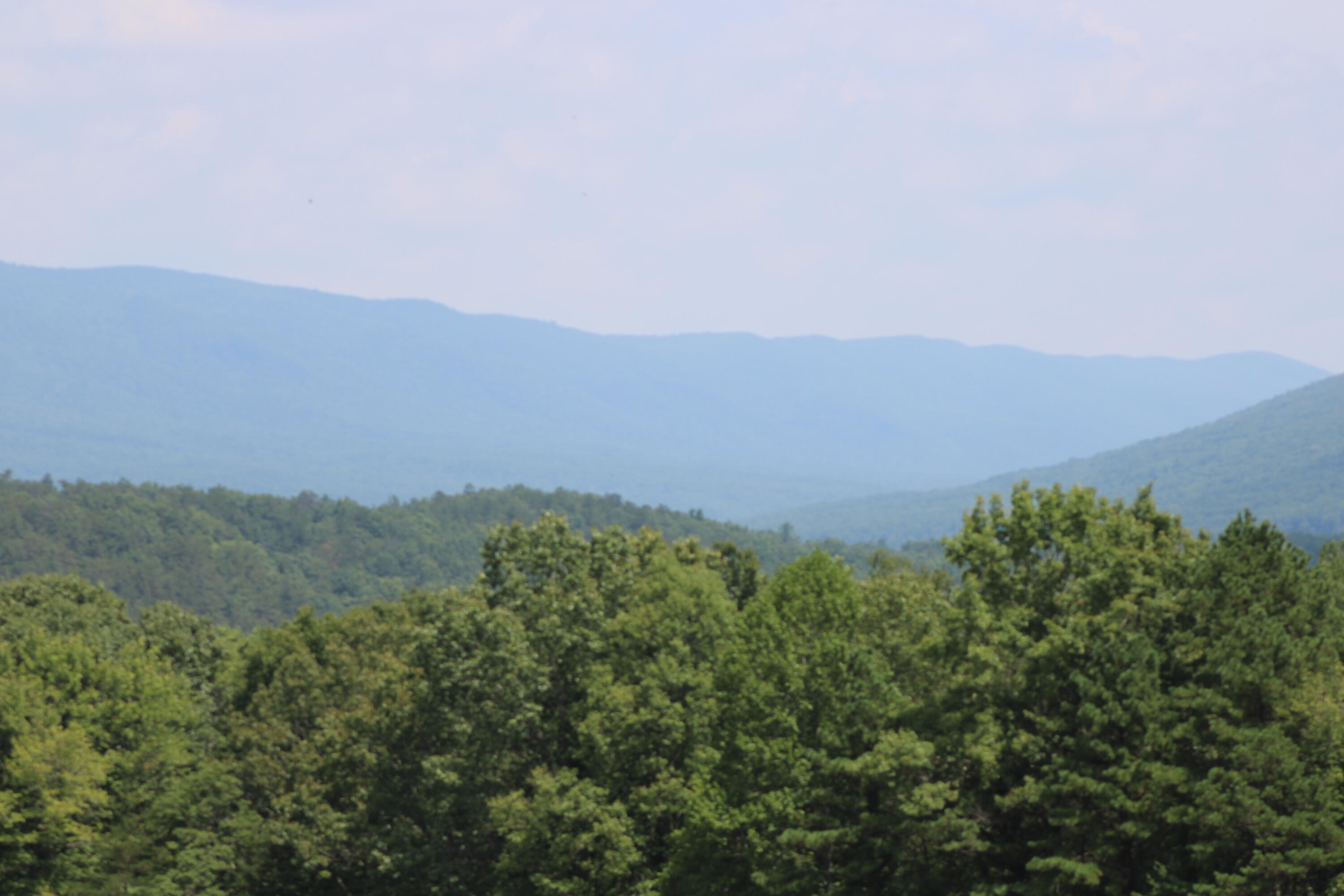 2816 Johns Creek Road New Castle, VA 24127 - Photo 5 of 96 IMG_0009