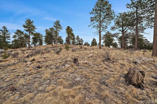 $399,000 | 33550 Mt Wilson Trail, Pine, CO 80470