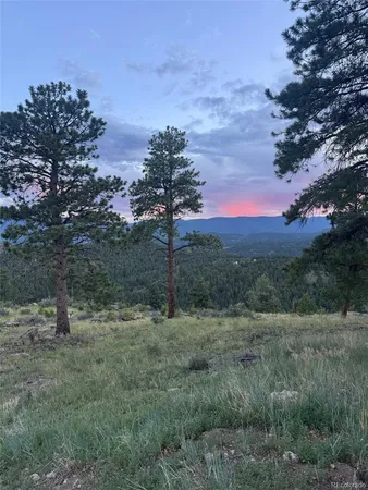 $399,000 | 33550 Mt Wilson Trail, Pine, CO 80470