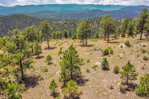 $399,000 | 33550 Mt Wilson Trail, Pine, CO 80470