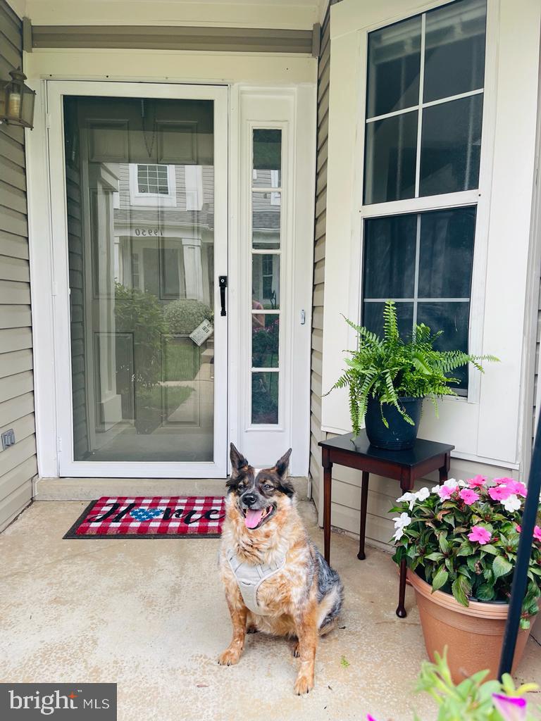 19946 Dunstable Circle, Unit 221 Germantown, MD 20876 - Photo 2 of 34 Front Door