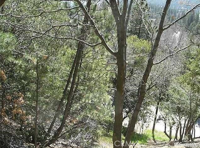 27346 North Bay Road Lake Arrowhead, CA 92352 - Photo 4 of 4
