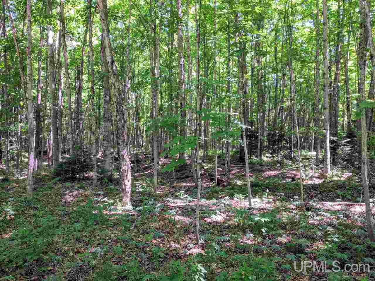 635 Co Road Marquette, MI 49855 - Photo 32 of 50