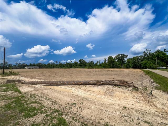 16143 West Murray Road Ponchatoula, LA 70454 - Photo 14 of 28