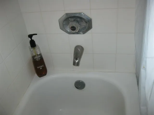 $1,475 | 3090 Pointer Drive, Unit 3090, Palm Harbor, FL 34683