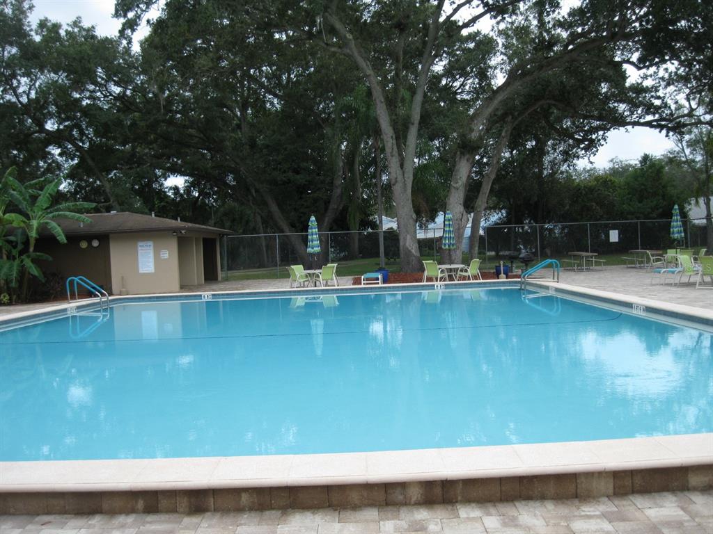 3090 Pointer Drive, Unit 3090 Palm Harbor, FL 34683 - Photo 24 of 34