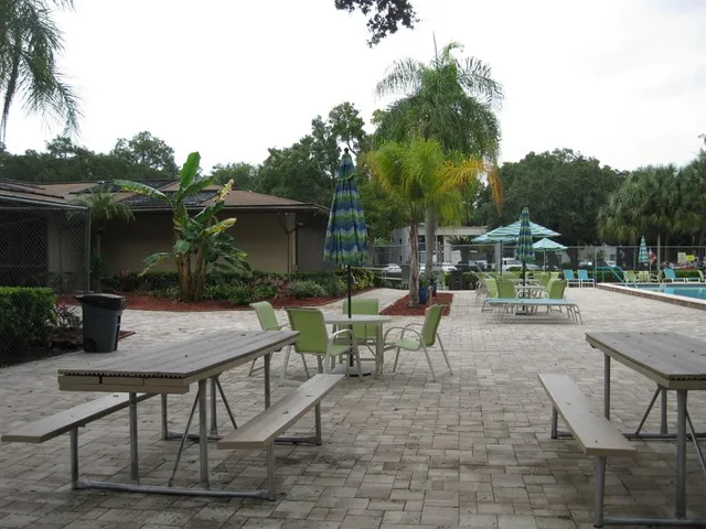 $1,475 | 3090 Pointer Drive, Unit 3090, Palm Harbor, FL 34683