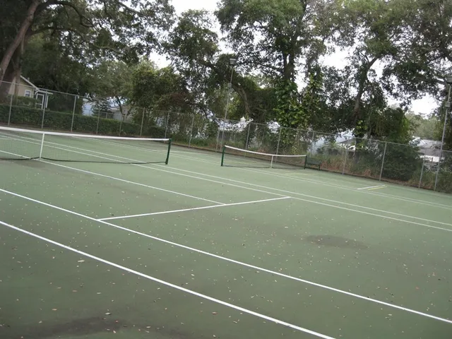 $1,475 | 3090 Pointer Drive, Unit 3090, Palm Harbor, FL 34683