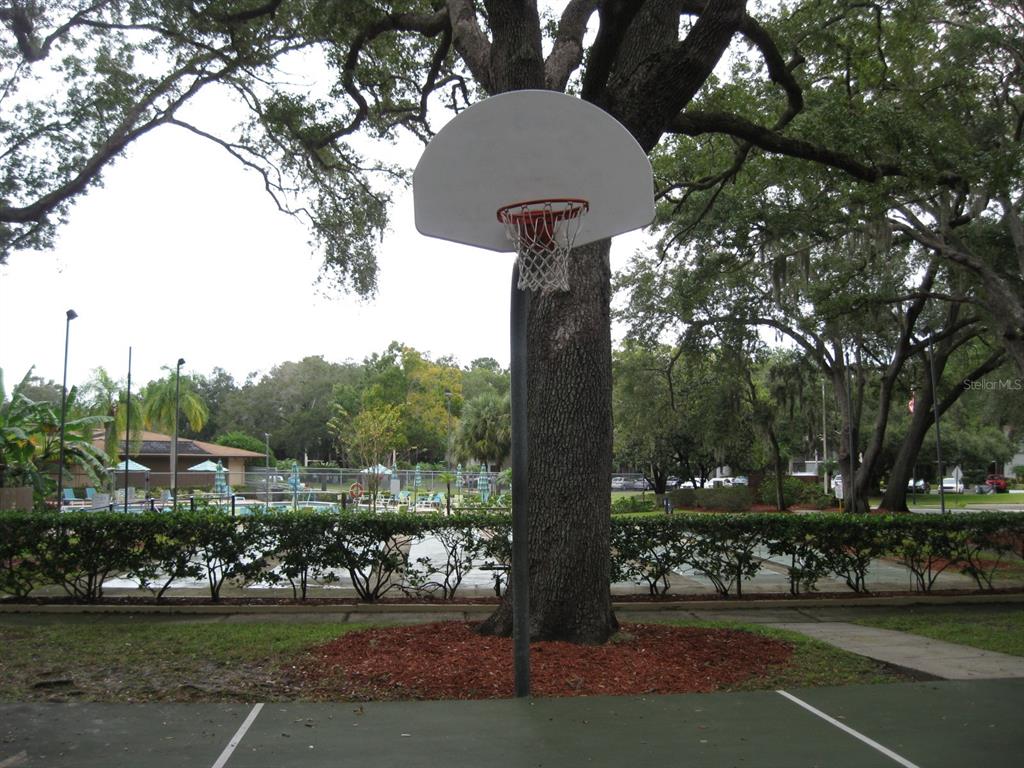 3090 Pointer Drive, Unit 3090 Palm Harbor, FL 34683 - Photo 31 of 34