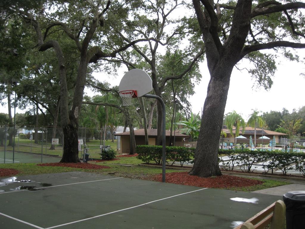 3090 Pointer Drive, Unit 3090 Palm Harbor, FL 34683 - Photo 32 of 34