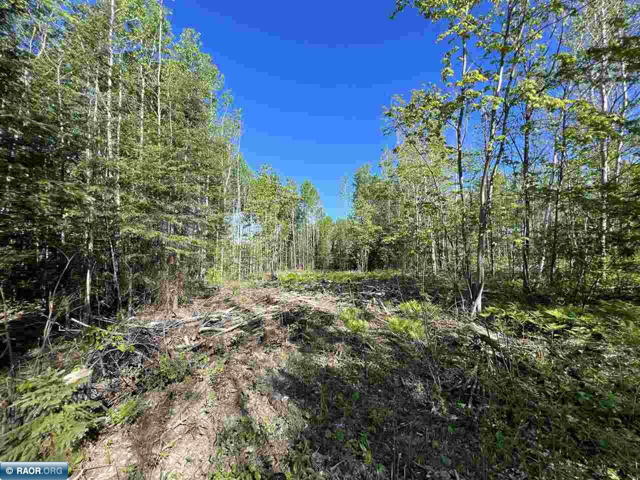 10175 Dark Lake Road Britt, MN 55710 - Photo 9 of 13 Gallery Image 9