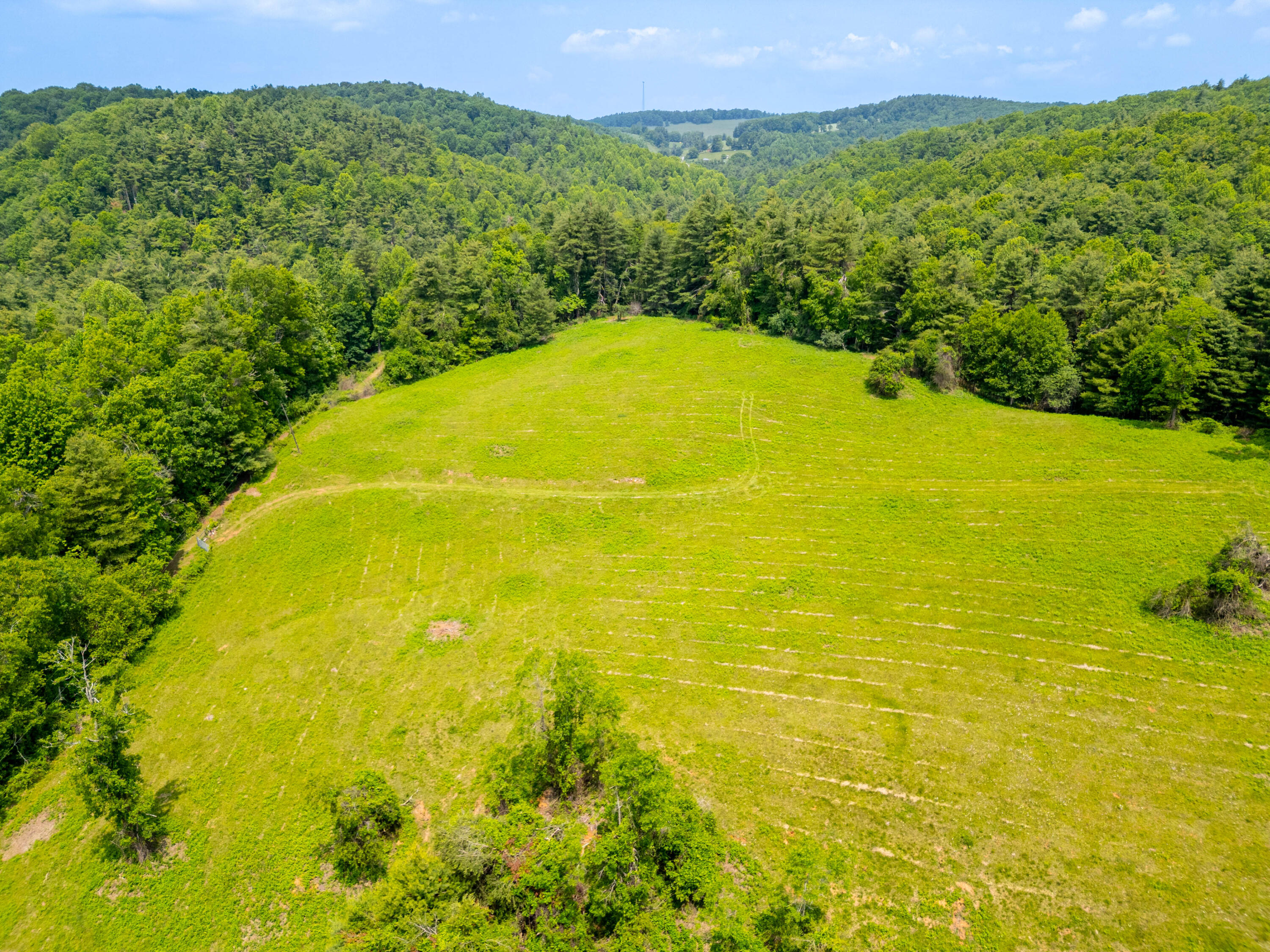 1073 Timberline Road Southeast Copper Hill, VA 24079 - Photo 37 of 56 36