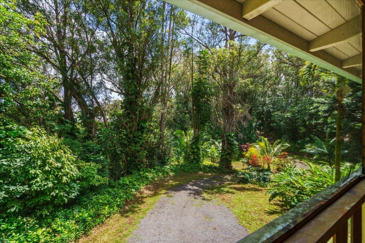4510 Waha Place, Unit 2 Haiku, HI 96708 - Photo 28 of 36 a view of a yard with plants