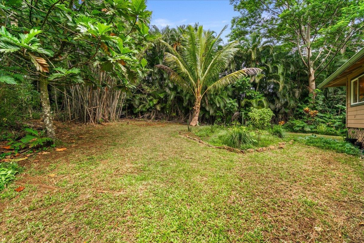 4510 Waha Place, Unit 2 Haiku, HI 96708 - Photo 33 of 36 a view of backyard with green space