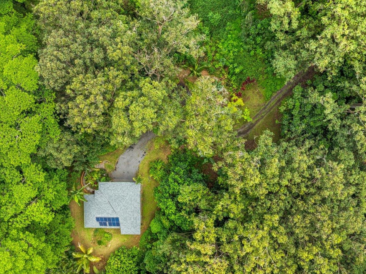 4510 Waha Place, Unit 2 Haiku, HI 96708 - Photo 34 of 36 an aerial view of residential house with outdoor space and trees all around