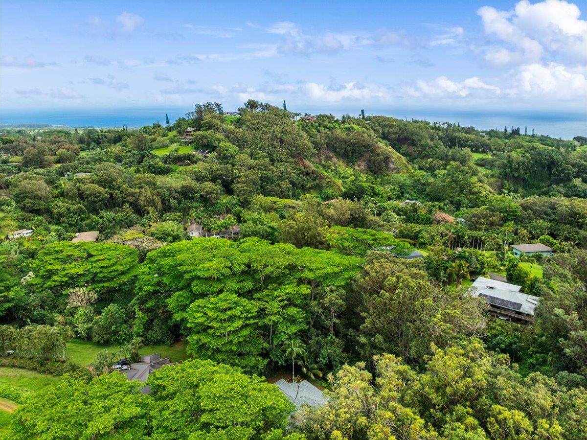 4510 Waha Place, Unit 2 Haiku, HI 96708 - Photo 36 of 36 a view of a city with lush green forest